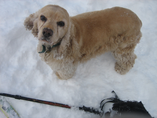 Sierra-Feb-2006-06