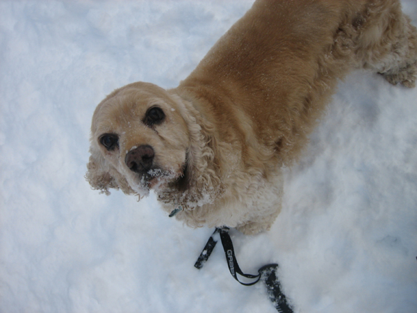 Sierra-Feb-2006-07