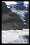      Columbia Icefield    .