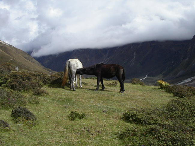 Nepal_2003_040