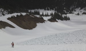 Лавинные выносы в Glacier Basin