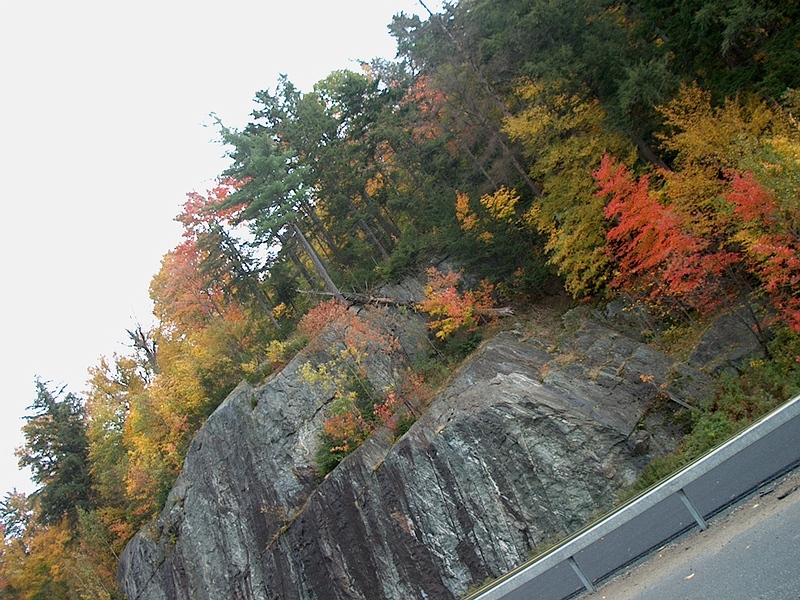 Park_Cliff.jpg