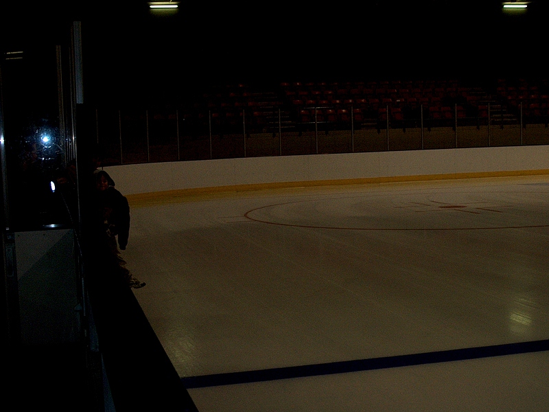 Park_LP_Ice_Ring.jpg