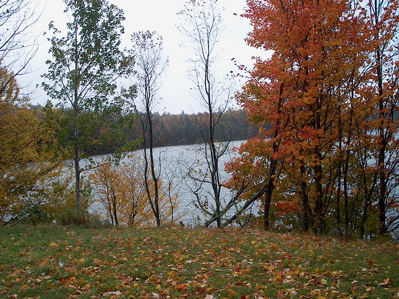 Park_Lake.jpg