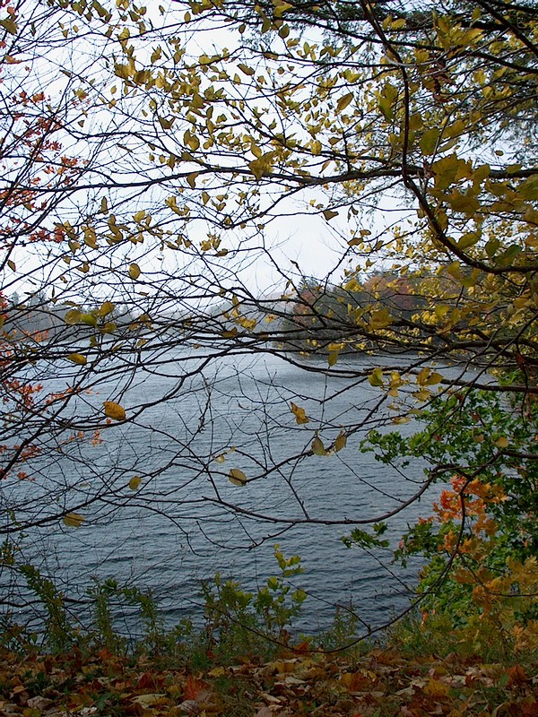 Park_Lake2.jpg