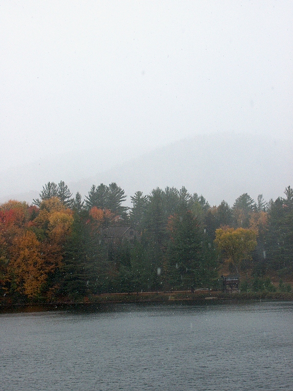 Park_Lake_2.jpg