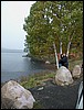 Park_CK_Birch.jpg