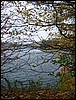 Park_Lake2.jpg