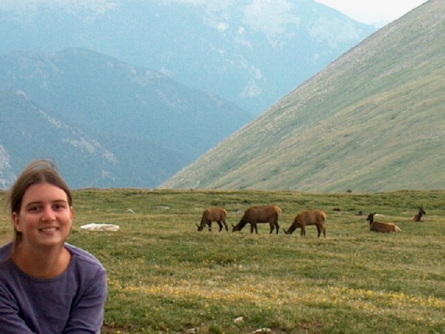 Christy_Elk.JPG