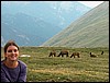 Christy_Elk.JPG