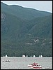 Sailboats.JPG