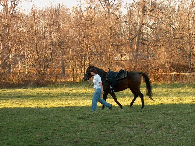 Lunar_Christy_Walking.jpg