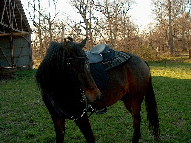 lunar_new_tack_2.jpg