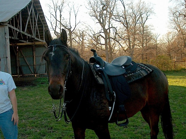 lunar_new_tack_3.jpg