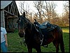 lunar_new_tack_3.jpg