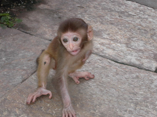 Nepal_2003_Kathmandy_011